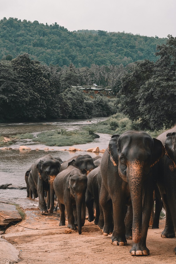 Adventure & Nature