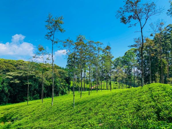 Unexplored Midlands