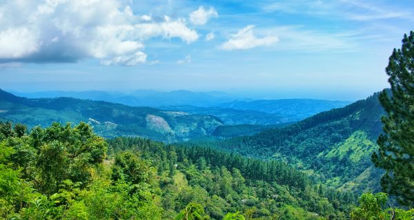 Unexplored Midlands